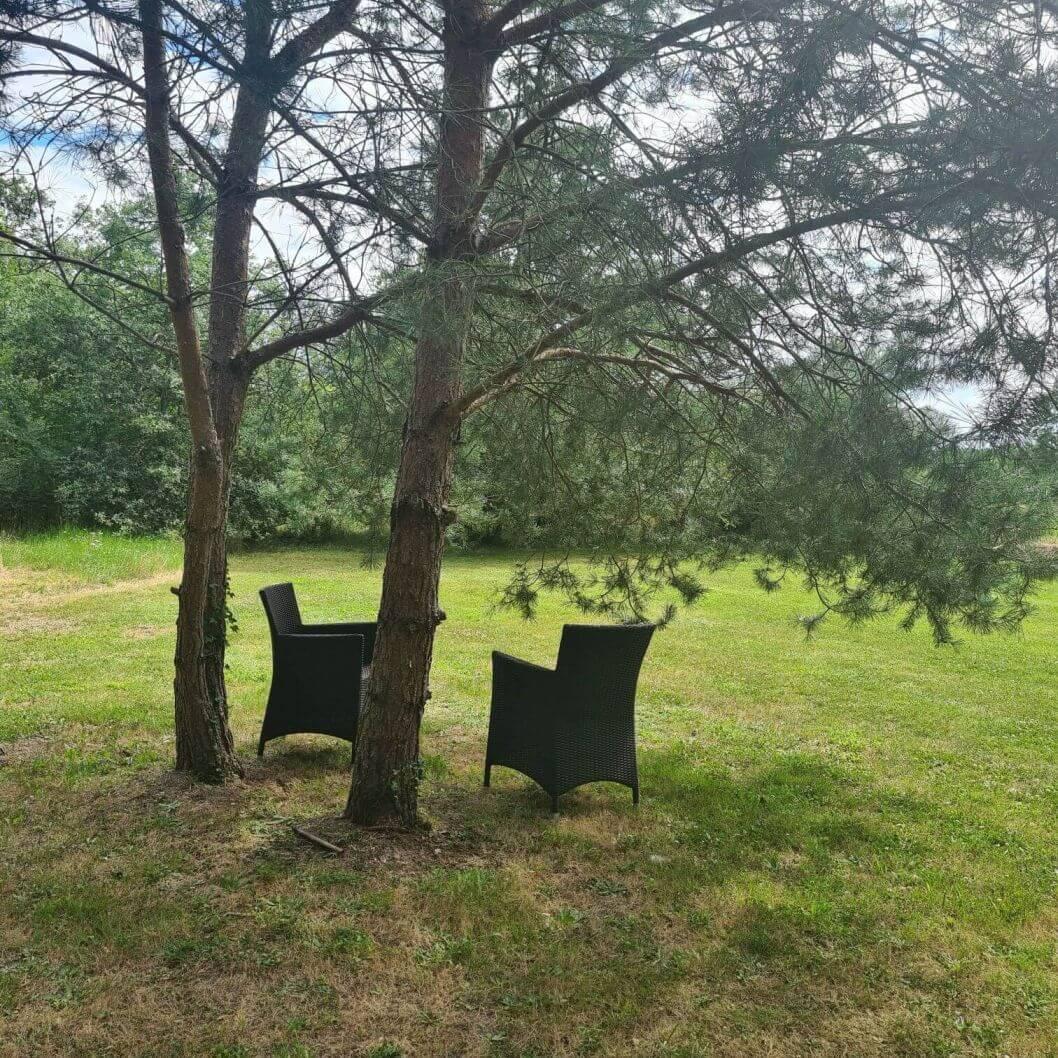 Domaine De La Blonnerie Acomodação com café da manhã Feings  Exterior foto